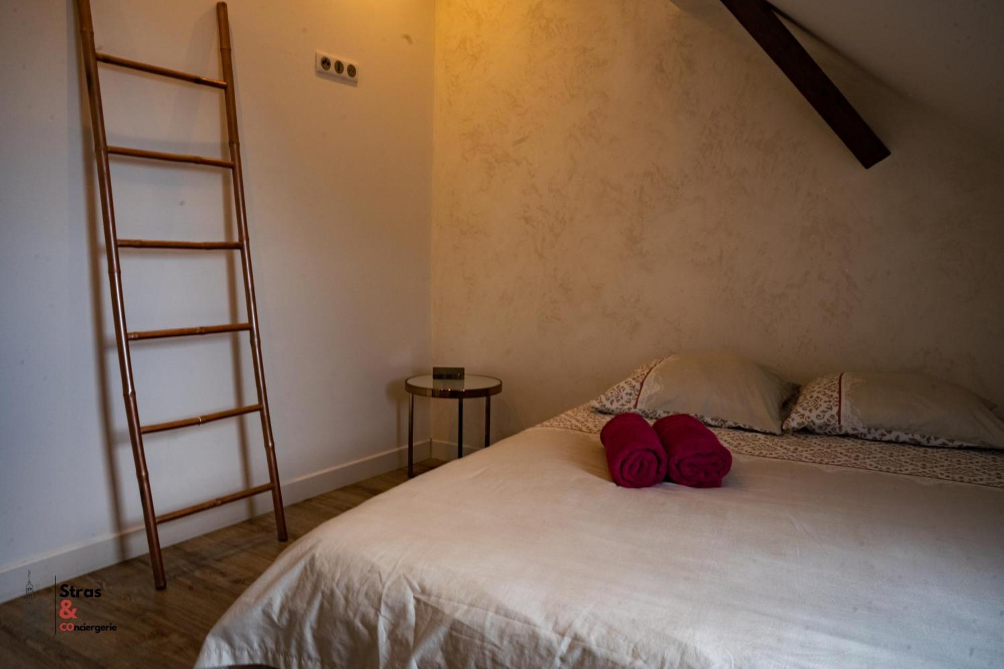 Ferienwohnung Belles Combles Alsaciennes Au Centre De Straßburg Exterior foto
